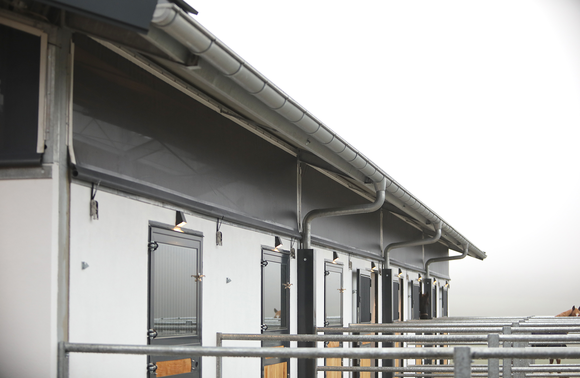 Windschutz Pferdestall (1)